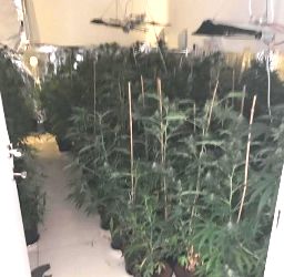 mabada yavne marichuana2