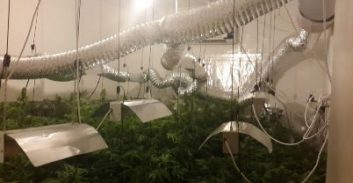 דן: מעבדת הידרו בדירה שכורה ביהוד