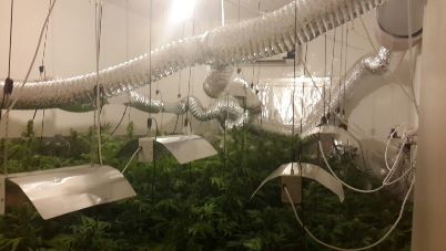 mabedet samim yahud1