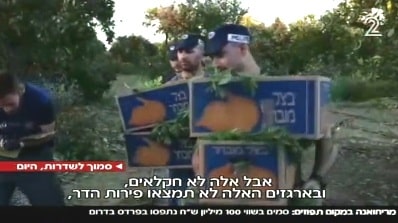 magav marichuana chanal 2