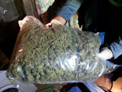 marichuana sak ashkelon