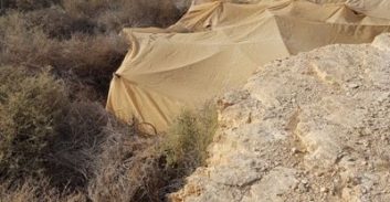 יותר מ-1,500 שתילי מריחואנה בחממה סמוך לנחל ניצנה