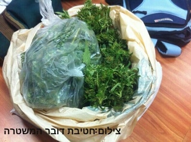 marihuana kilo