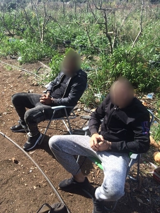 marihuana pasuta 17 10 20 330 440