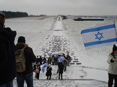 masa yahatz polin