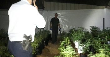 רמת הגולן: משתלת קנאביס בלול תרנגולות