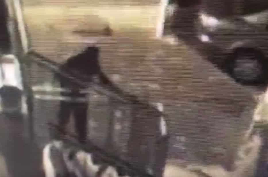 mitaan habala naharia zonanshvily2