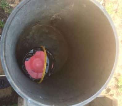 mitaan habala netanya