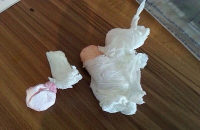 mivtsa pshiaa1 9 3 14