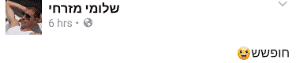 mizrahi shlomi facebook smilly