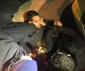 naftaly meni 330 278