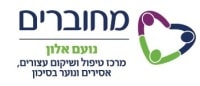 noam alin logo