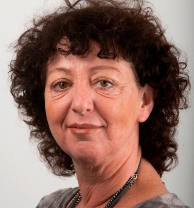 od segal - antler ariela