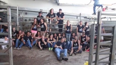 peiley baaley haym hafgana