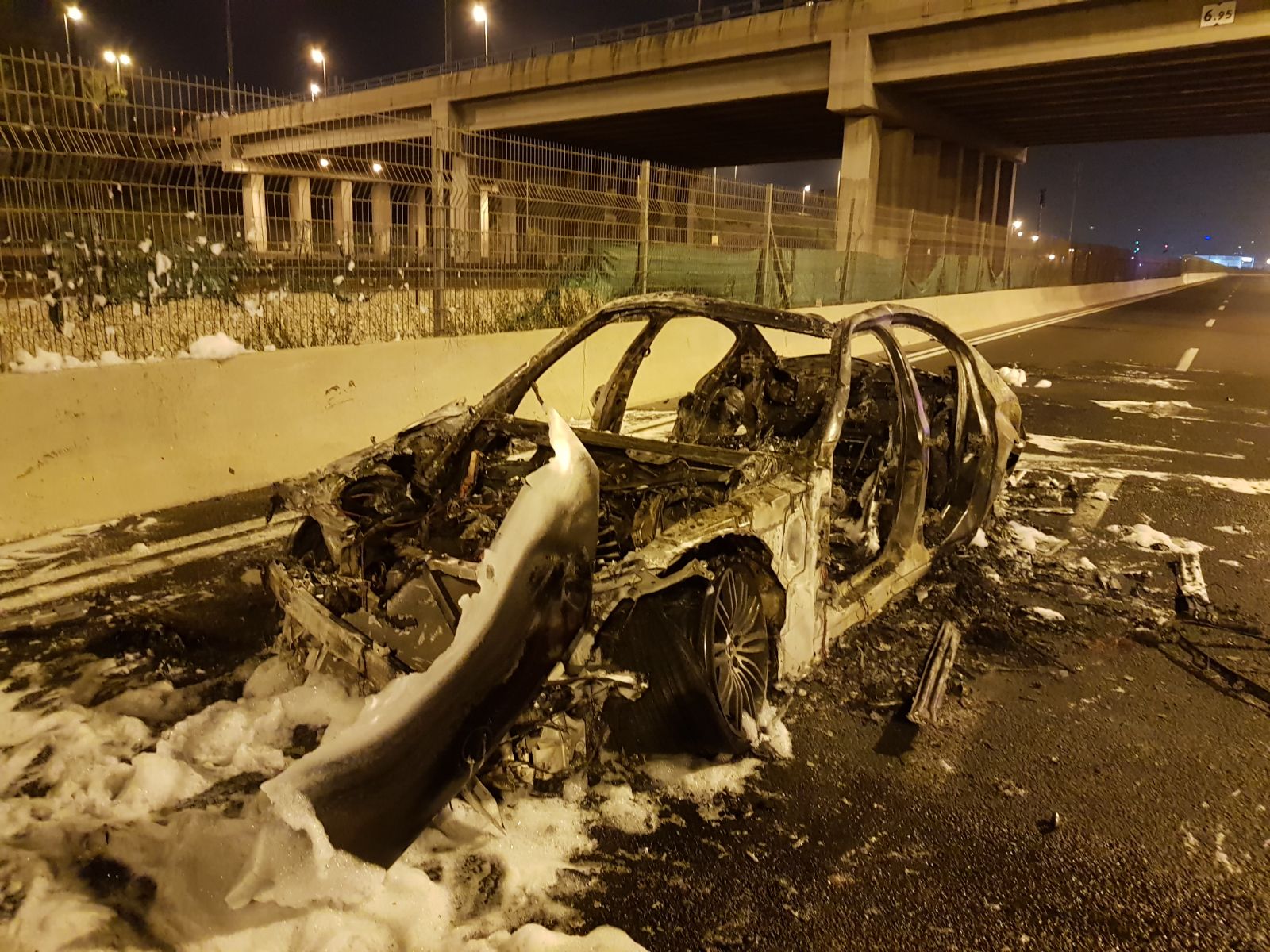 pizuz ayalon 15 11 17