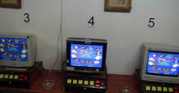 הימרו על הקופים