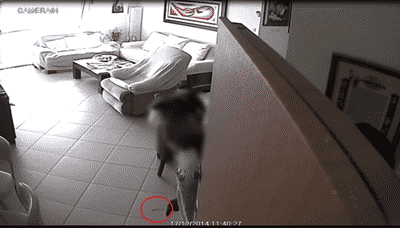 portzim ashdod matzlema nisteret2