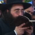 rav pinto