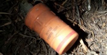 חשד: שוהה בלתי חוקי הסתיר רימון בגן שעשועים