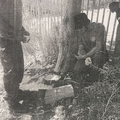 roman anton zira 400 400