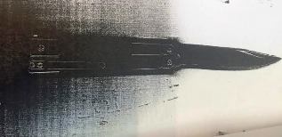 sakin shod nehag monit