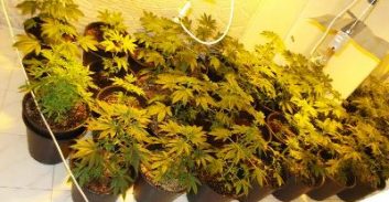 תושב כפר סבא חשוד בהפעלת מעבדת סמים