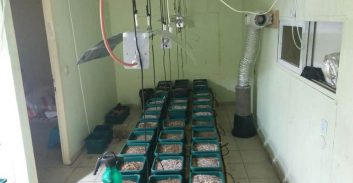 תחנת גלילות: 100 שתילי סם נמצאו במעבדת הידרו בשרון