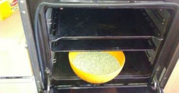 מבשלים נייס גאי בתנור הביתי