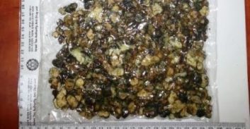 סוכריות ופטריות