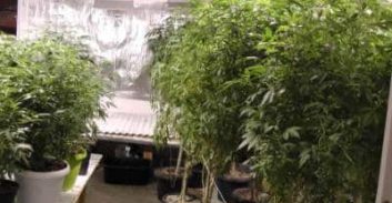 הגירה שלילית