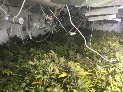 samim kiryat malachi2