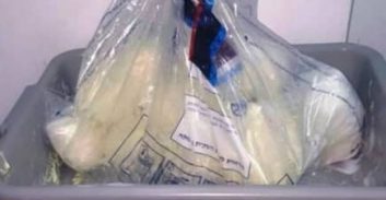 6.5 ק"ג קוקאין, בני טובים ומחדלים של חוקרים