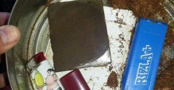 הולכים גם על קטן