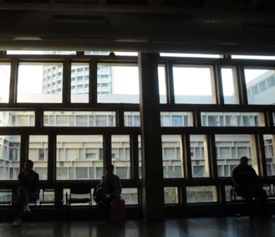 sanegoria ziborit tikim mehasanegorya 402 346