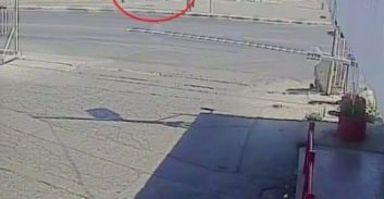 שוורצמן המזוהם