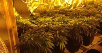 32 ק"ג סמים לצריכה עצמית