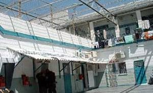 מיכאל מור נגד משפחת כראג'ה