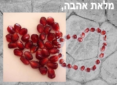 shana tova rimon