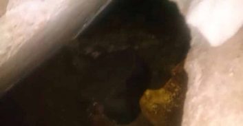 הבריחה משאטה