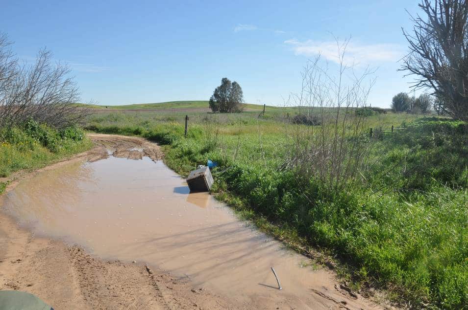 shod casefet nir am 3