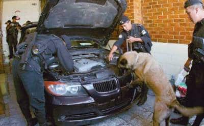 shotrim drom america