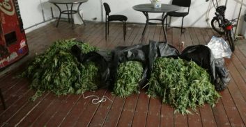 עבודות של"צ לחבר בבורסת היהלומים שגידל והחזיק למעלה מקילו קנאביס