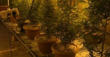 מושב צפריה: חממת הידרו בהאנגר לאחסון בגדים