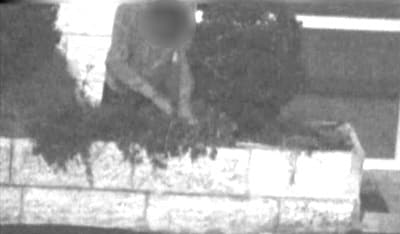 sihen samim jerusalim2