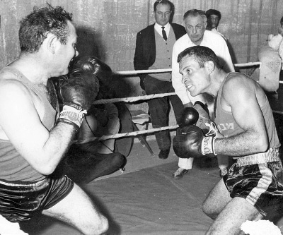 sofa farkash nachman ver shafir