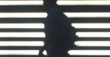 נעצרו 21 חשודים בסחר בסמים ובמטעני חבלה