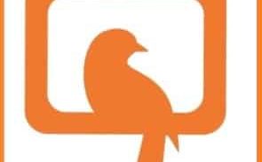 סטטוסים מצייצים משיבים מלחמה