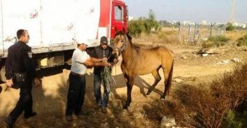 מבצע ביעור הפשיעה במחוז דרום – נתונים