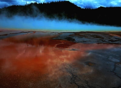 taarucha shofet kirsh harry