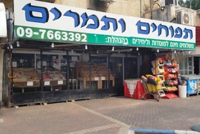 tapuhim vetmarim hunut shay bahar